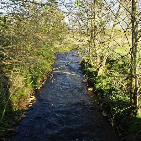 Semesterbostad Truust Mill Fishing Park